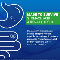 Thumbnail for Force Factor ProbioSlim Akkermansia Prebiotics & Probiotics, with 1B AFUs Akkermansia Muciniphila, Prebiotics & Chromax Chromium, Support Lean Body Mass, Digestion & Gut Health, 60 Vegetable Capsules