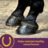 Thumbnail for Horse Health Vita Biotin Crumbles Horse Hoof Supplement, Biotin Supplement Supports Healthy Hoof Growth, Strong Walls, Prevents Cracks & Chipping, 3 lbs, 48-Day Supply