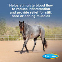 Thumbnail for Farnam Vetrolin Horse Liniment for Muscle Soreness, Stiffness and Inflammation Relief on Horses, Helps Reduce Swelling, Aids in Pain Relief, 32 Oz.