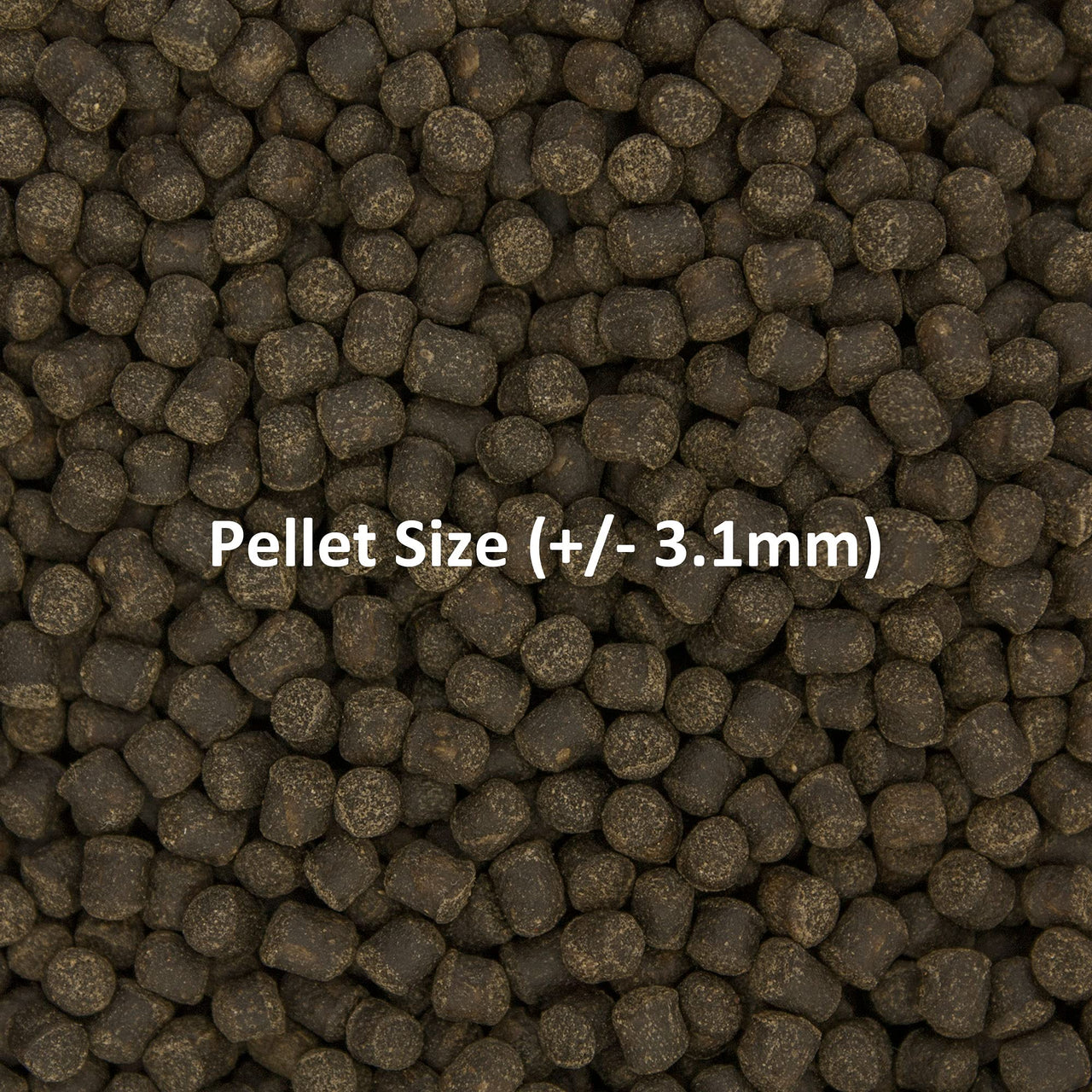 Ocean Nutrition Formula Two Pellets - Fish Food for Herbivorous & Omnivorous Marine Tropical Fish, High Protein(40%) - 7 oz (200 g) Medium Pellets