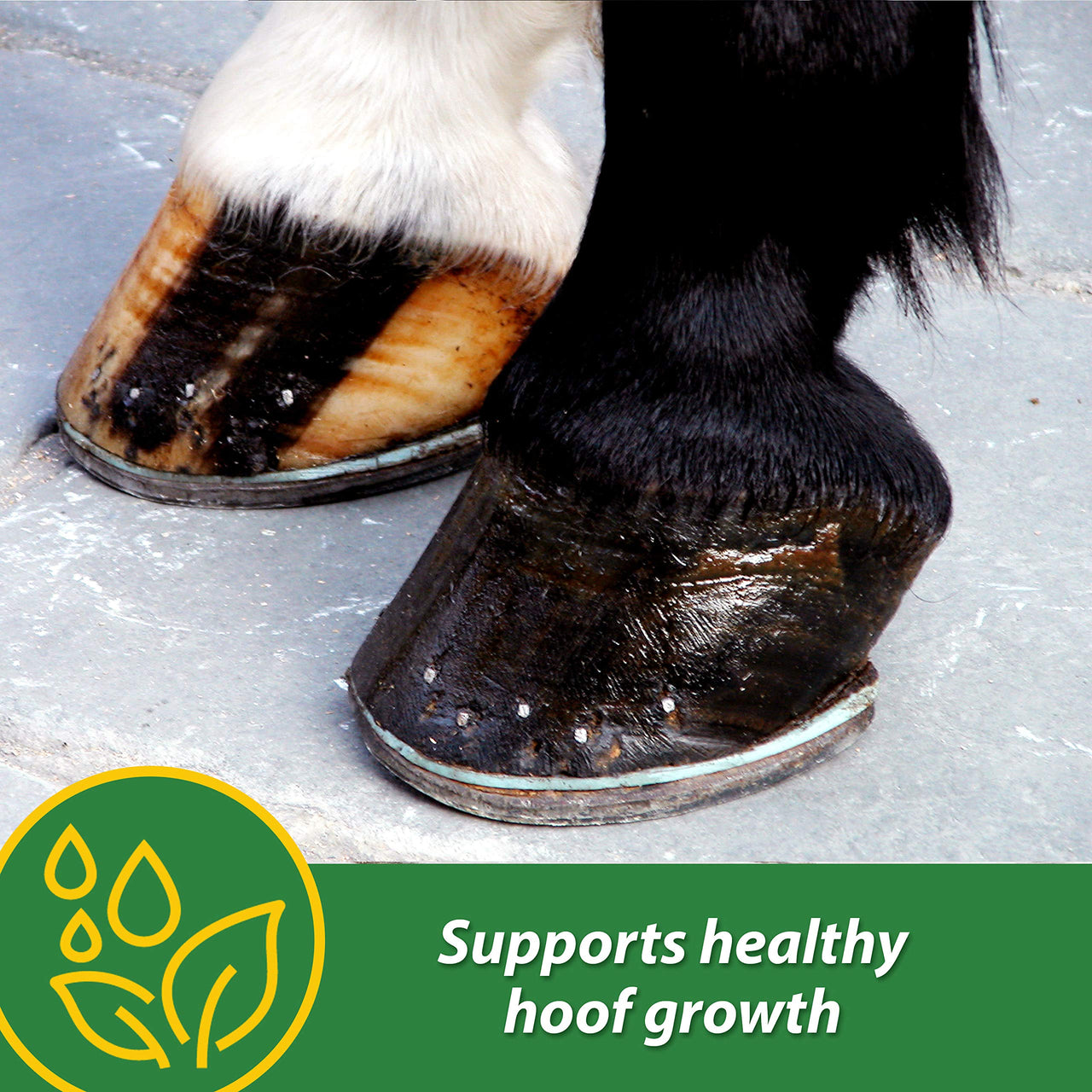 Farnam HB 15 Hoof Supplement, Supports healthy hoof growth 3 pound, 48 Day Supply