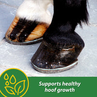 Thumbnail for Farnam HB 15 Hoof Supplement, Supports healthy hoof growth 3 pound, 48 Day Supply