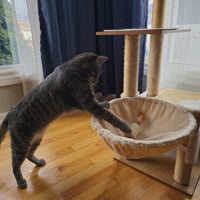 Thumbnail for SPOT Naturals Silver Vine Cat Toy – Natural Interactive Enrichment for Cats, Stimulates Play and Reduces Stress, Durable and Safe, Perfect for Indoor Cats and Kittens, Assorted Styles, 1 Piece