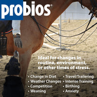 Thumbnail for Probios Digestive Support Probiotic for All Species, Probiotics for Gut Health, Dispersible Powder, 5 lbs