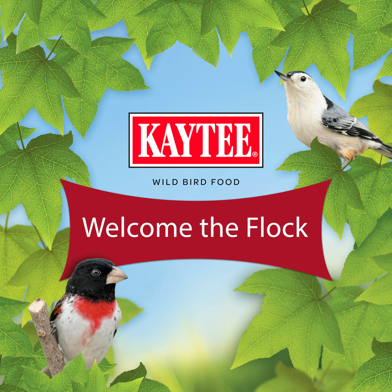 Kaytee All American Wild Bird Food Seed Blend for Cardinals, Blue Jays, Finches & Other Outdoor Wild Birds, 5 Pounds