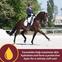 Thumbnail for Farnam Laser Sheen Skin & Coat Supplement for Horses, Promotes Healthy Skin & Radiant Coat from The Inside Out, 3.75 Pounds 30 Day Supply