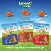 Thumbnail for Emerald Pet Pumpkin Harvest Dog Treats — Low-Fat Chewy Natural Treats with Pumpkin for Digestive Health — Meat Free, Poultry Free, Wheat Free — Apple, 6 oz