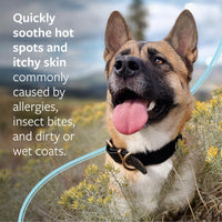 Thumbnail for Veterinary Formula Clinical Care Hot Spot & Itch Relief Medicated Shampoo for Dogs and Cats 16oz – Helps Alleviate Sensitive Skin, Scratching, and Licking of Coat