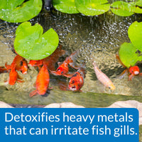 Thumbnail for API POND CHLORINE & HEAVY METAL NEUTRALIZER Pond Water Neutralizer 16-Ounce Bottle