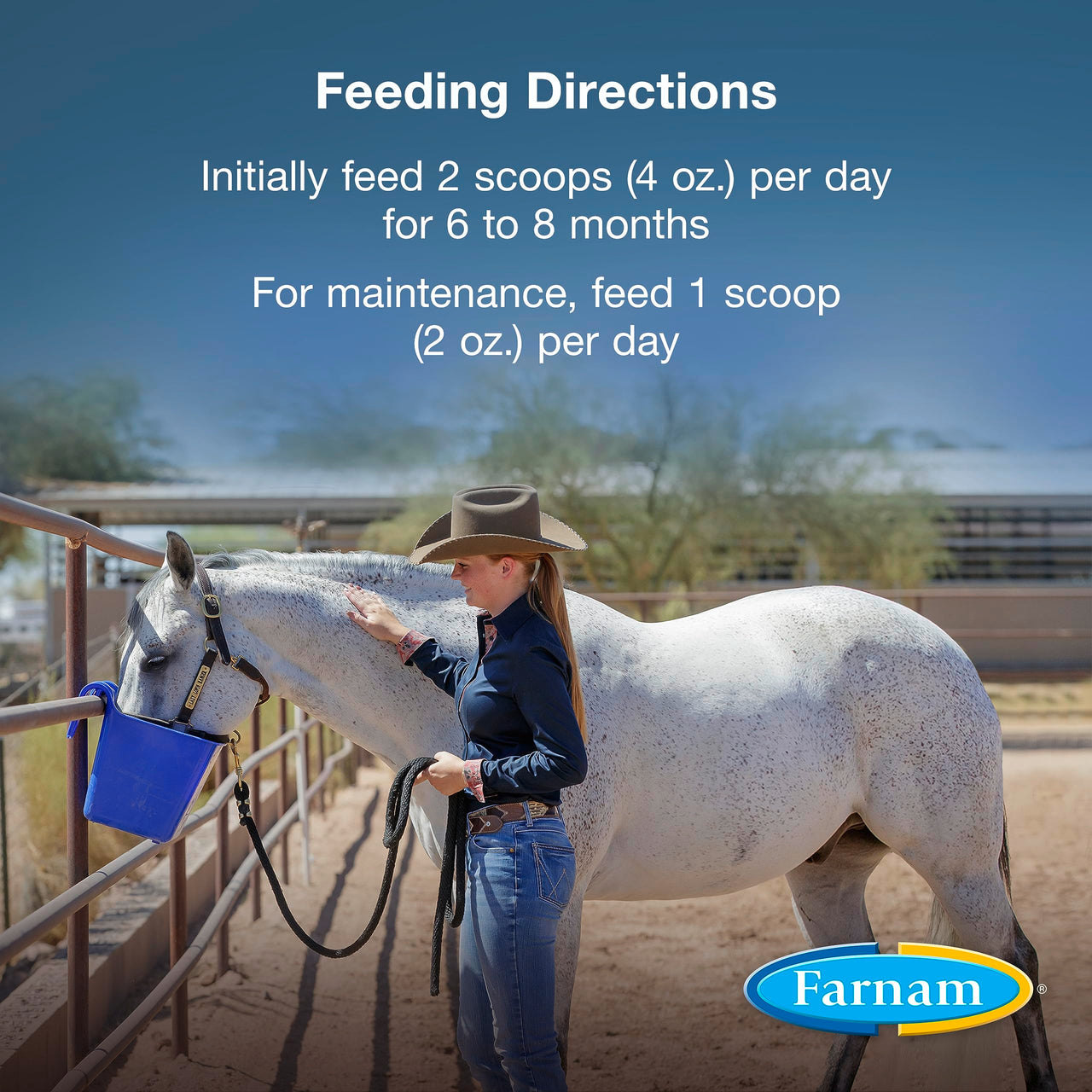 Farnam Horseshoer's Secret Extra Strength Hoof & Connective Tissue Biotin Supplement with Aminos for Strong, Healthy Hooves, Tendons & Ligaments, 7.5 lbs, 60-Day Supply
