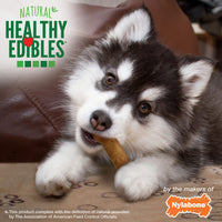 Thumbnail for Nylabone Healthy Edibles Natural Puppy Chews Long Lasting Treats for Puppies, Lamb & Apple Flavor, X-Small/Petite (4 Count)