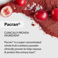 Thumbnail for AZO Cranberry Supplement, Made with Concentrated Whole Fruit Cranberry Powder to Help Cleanse and Protect the Urinary Tract*, Sugar Free Cranberry Pills, Non-GMO, 100 Softgels