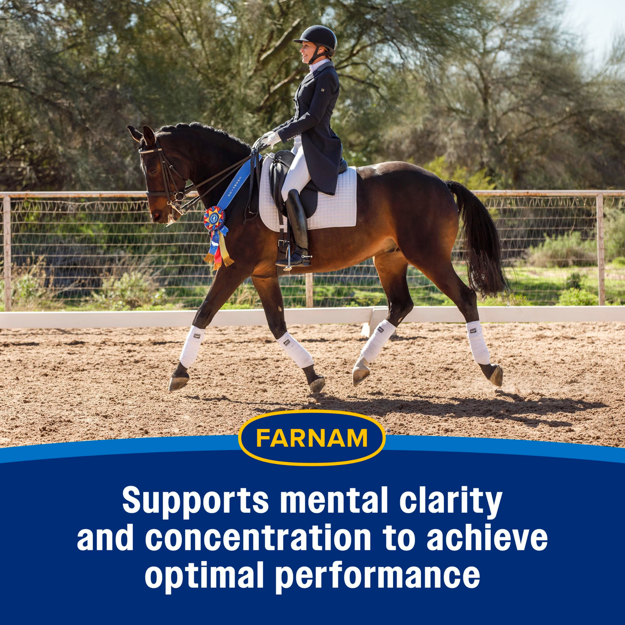 Farnam Quietex Show Calming & Focusing Paste for Horses, 30 cc Syringe, Show Safe Horse Calm Magnesium Supplement Paste, Help Manage Nervous Behavior, Focus, Keep Calm, Relaxed & Composed