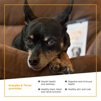 Thumbnail for VetriScience Extra Strength Senior 27+ Active Health Chews, Golden Years Daily Multivitamin for Senior Dogs, Balanced Vitamins, Minerals, and Omega-3s, Aging and Wellness Support, Chicken, 60 Count