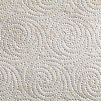 Thumbnail for Pacific Blue Select Kitchen Paper Towel, 2-Ply Perforated Roll, 8 4/5 in x 11 in, 30 Count