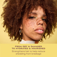 Thumbnail for SheaMoisture Jamaican Black Castor Oil Leave In Conditioner 100% Pure Jamaican Black Castor Oil For Damaged Hair to Soften and Detangle Hair 11.5 oz