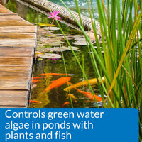 Thumbnail for API PONDCARE MICROBIAL ALGAE CLEAN Biological Inhibitor of Green Water, Alternative approach to algae control, 16-Ounce Bottle