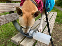 Thumbnail for Lixit Hand Held Foldable Travel Hiking Outdoor Watering Bottle Bowl for Dogs (Pack of 1, Granite)