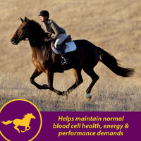 Thumbnail for Horse Health Red Cell, Liquid Vitamin-Iron-Mineral Supplement for Horses, Helps Fill Important Nutritional Gaps in Horse's Diet, 1 Qt., 32 Oz., 16-Day Supply