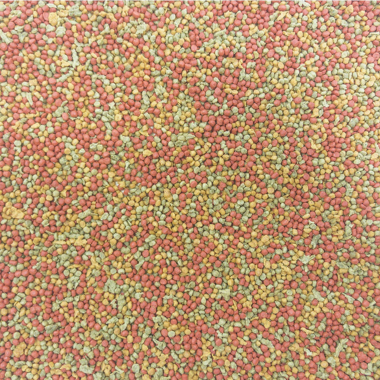 Higgins Intune Parakeet Bird Food 2Lb, Multicolor (466195)