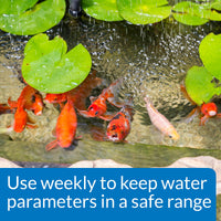 Thumbnail for API POND MASTER TEST KIT Pond Water Test Kit 500-Test
