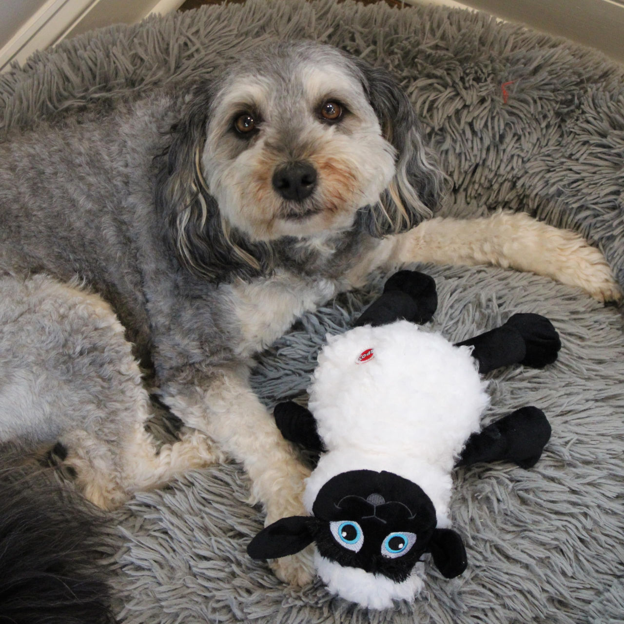 SPOT Baa Baa Black Sheep Plush Dog Toy - Cute and Cuddly Fleece Toy with Squeaker for Medium to Large Dogs and Puppies, 13in Black and White Lamb
