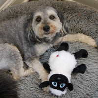 Thumbnail for SPOT Baa Baa Black Sheep Plush Dog Toy - Cute and Cuddly Fleece Toy with Squeaker for Medium to Large Dogs and Puppies, 13in Black and White Lamb
