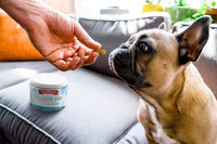 Thumbnail for The Missing Link Collagen Care Skin & Coat Soft Chews 60ct - Daily Hair Growth, Healthy Skin & Strong Nails Support for Dogs