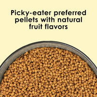 Thumbnail for Kaytee NutriSoft Pet Parakeet & Cockatiel Bird Food, 2 lb
