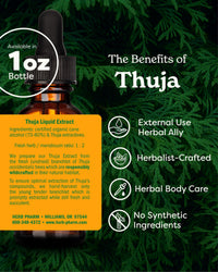 Thumbnail for Herb Pharm Thuja Branchlet Liquid Extract - 1 Ounce (DTHUJA01)