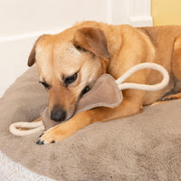 Thumbnail for SPOT Dura-Fused Leather Bone Tug Dog Toy – Durable Real Leather & Jute Chew Toy with Double Rope Handles & Squeaker, For Moderate Chewers, 18in