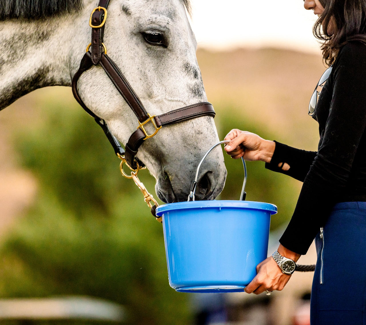 Horse Quenchers Horse Hydration Supplement Treat, Thirst Quencher for Horses, All-Natural Grains for Equestrians and Horse Owners, Aids in Preventing Health Issues - Peppermint Flavored, 3.5 lbs Bag