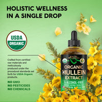 Thumbnail for Mullein Drops for Lungs - USDA Organic Liquid - Mullein Leaf Extract Supplement - Made in USA - Lung & Bronchial Cleanse for Smokers - Respiratory Health Support - As Tincture, Tea, Pills - 4 fl oz