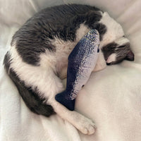 Thumbnail for SPOT Flippin' Fish Interactive Cat Toy with Catnip for Indoor Cats & Kittens - Touch Activated, Flipping Tail, Rechargeable with USB, Hours of Fun - 11.5 inch