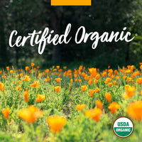 Thumbnail for Herb Pharm Certified Organic Artichoke Liquid Extract for Cardiovascular and Circulatory Support - 1 Ounce