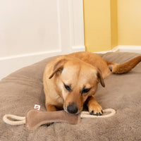Thumbnail for SPOT Dura-Fused Leather Bone Tug Dog Toy – Durable Real Leather & Jute Chew Toy with Double Rope Handles & Squeaker, For Moderate Chewers, 18in