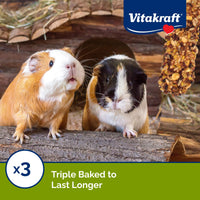 Thumbnail for Vitakraft Crunch Sticks Guinea Pig Treat - Apple and Orange Flavor – Triple Baked for Extra Crunch – Natural Wood Chew Center with Cage Clip Holder – Added Vitamins and Minerals – 2 Sticks - 3.5 Oz