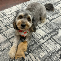 Thumbnail for SPOT Dura-Fused Leather Rabbit Dog Toy – Durable Real Leather & Jute Chew Toy with Squeaker, Double-Stitched for Moderate Chewers, Small & Medium Dogs, 7.5in