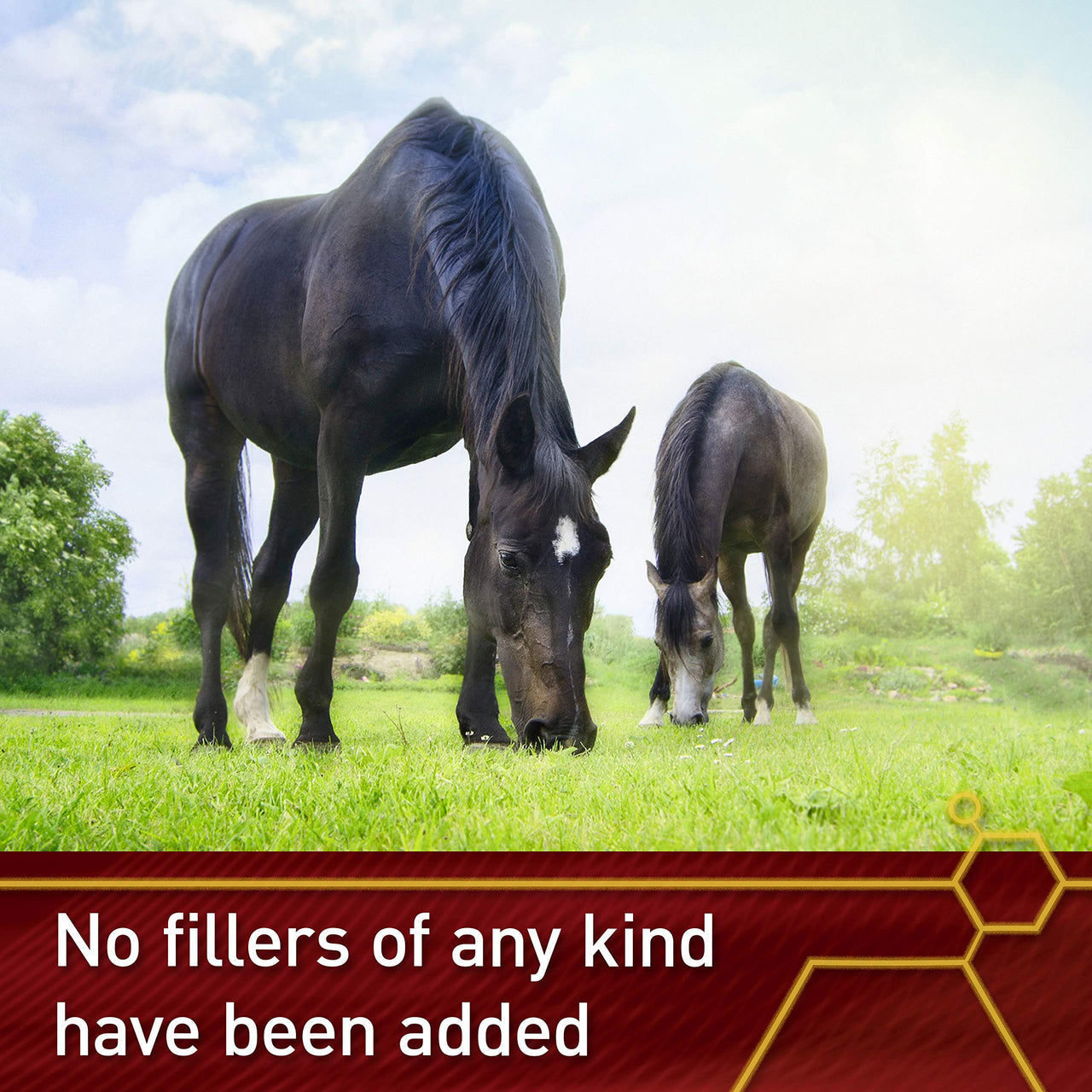 Vita Flex Pro Pure C Premium Quality Horse Vitamin C, 2 Pounds, 128-Day Supply