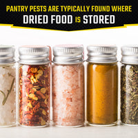 Thumbnail for Black Flag Pantry Pest Trap 2 Count, Insect Traps, Safe For Use In Kitchens And Pantries