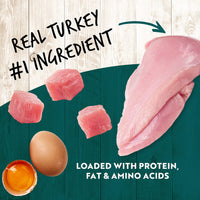 Thumbnail for Earthborn Holistic K95 Turkey Recipe Grain-Free Canned Moist Dog Food 13 oz Can