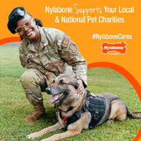 Thumbnail for Nylabone Healthy Edibles Natural Puppy Chews Long Lasting Treats for Puppies, Lamb & Apple Flavor, Small/Regular (3 Count)
