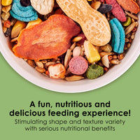 Thumbnail for Kaytee Fiesta Mouse & Rat Food, Nutritious and Fun Blend, Supports Dental Health and Digestion, 4.5 pounds