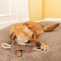 Thumbnail for SPOT Dura-Fused Leather Bone Tug Dog Toy – Durable Real Leather & Jute Chew Toy with Double Rope Handles & Squeaker, For Moderate Chewers, 18in