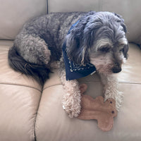 Thumbnail for SPOT Dura-Fused Leather Squirrel Dog Toy – Real Leather & Jute Fabric, Double-Stitched & Durable, Soft Stuffed Squeaky Interactive Chew Toy for Moderate Chewers, Small & Medium Dogs, 8in