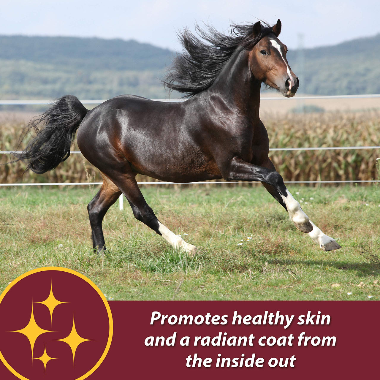 Farnam Laser Sheen Skin & Coat Supplement for Horses, Promotes Healthy Skin & Radiant Coat from The Inside Out, 3.75 Pounds 30 Day Supply