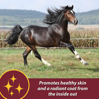 Thumbnail for Farnam Laser Sheen Skin & Coat Supplement for Horses, Promotes Healthy Skin & Radiant Coat from The Inside Out, 3.75 Pounds 30 Day Supply