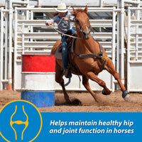 Thumbnail for Farnam Fluidflex Liquid Joint Supplement for Horses, Helps Maintain Healthy Hip & Joint Function, 32 Ounces 32 Day Supply