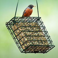 Thumbnail for Kaytee Wild Bird Seed & Mealworm Seed Cake Food For Bluebirds, Chickadees, Woodpeckers and More, 1.4 Pound
