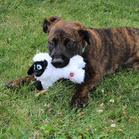 Thumbnail for SPOT Baa Baa Black Sheep Plush Dog Toy - Cute and Cuddly Fleece Toy with Squeaker for Small Dogs and Puppies, 8in Black and White Lamb